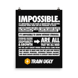 Impossible Poster